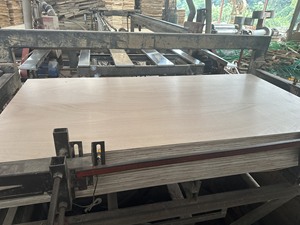 ไม้อัดเมลามีนเคลือบ E0 หนา 9-18 มม. ขนาด 4x8 ฟุต |   แผ่นไม้ยูคาลิปตัสสำหรับตู้ครัวและตกแต่งห้องนั่งเล่น - Product Image 3