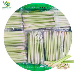 VIET THIEN PHU |   PULPA DE FRUTA DE LA PASIÓN CONGELADA IQF PREMIUM – ENVASADA AL VACÍO – CALIDAD DE EXPORTACIÓN DE VIETNAM - Product Image 1