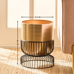 Pot de fleurs décoratif en métal brossé avec support en cage métallique noire pour l'esthétique du salon, de la chambre et du bureau - Product Image 3