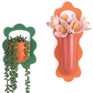Vase mural moderne en plastique de forme irrégulière pour fleurs et plantes vertes, décoration suspendue - Product Image 1