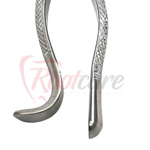Custom Logo Universal 15 Number American Pattern Forceps Stainless Steel Universal 15 Number American Pattern Forceps - Product Image 4