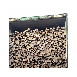 VALUE FOR MONEY <b>Bamboo</b> Pole for Crop Support Vine Staking <b>Fencing</b> Scaffolding Projects Handicrafts - Product Image 4