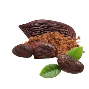 Suministro <span class=keywords><strong>de</strong></span> fábrica <span class=keywords><strong>Polvo</strong></span> <span class=keywords><strong>de</strong></span> <span class=keywords><strong>cacao</strong></span> crudo <span class=keywords><strong>Polvo</strong></span> <span class=keywords><strong>de</strong></span> extracto <span class=keywords><strong>de</strong></span> <span class=keywords><strong>cacao</strong></span> natural puro a granel - Product Image 5