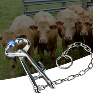 Herramienta de Manipulación de Precisión de Acero Inoxidable de Calidad Premium con Punta de Toro para Ganadería y Equinos de Alto Nivel por Tegra - Product Image 5