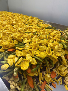 Mezcla de Frutas y Verduras Deshidratadas Fritas al Vacío: Mango, Jaca, Plátano, Fresa, Pitaya, Okra, Melón Amargo, Zanahoria, Calabaza - Product Image 1
