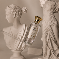 Cosmétiques coréens [CHALLANS De PARIS] Tonique luxueux à l'acide hyaluronique Soin de la mélanine Eau tonifiante éclaircissante 125ml pour tous types de peau