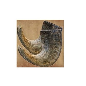 Cuerno de búfalo natural para decoración del hogar, con temática animal, forma artesanal sin procesar, mordedor para perros - Product Image 1
