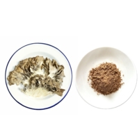 Thé santé à base d'extrait de champignon Maitake en poudre, 20% de bêta-glucane