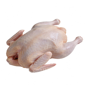 Wholesale Frozen Whole <b>Chicken</b> Bulk Supply Premium Grade Ready to Ship Fast - Product Image 5