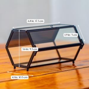 Wholesale Modern Black Metal <b>Frame</b> Mini Glass <b>Plants</b> Terrarium Tabletop Vase with Breathing Holes - Product Image 6