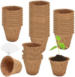 Maceta de Fibra de Coco Orgánica - Contenedor de Cultivo Biodegradable para Jardinería Ecológica - Product Image 4