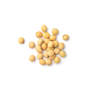 Frijoles Amarillos de Calidad Premium Ofrecidos para Producción Alimentaria a Gran Escala y Suministro Minorista - Product Image 2