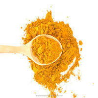 Fournisseur en gros de poudre de Curcuma Longa en provenance d'Inde