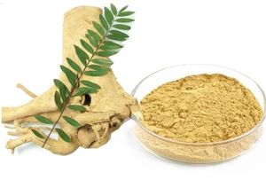 Extracto de Raíz de Tongkat Ali en Polvo - Product Image 2