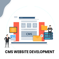 Diseño y desarrollo web de la mejor calidad Software de gestión de contenido personalizado Plataforma CMS sitio web
