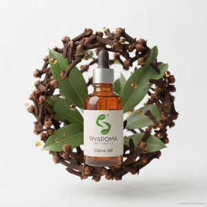 Suministro a granel de aceite de clavo de un fabricante confiable para marcas de cuidado personal, casas de fragancias y compradores internacionales de ingredientes. - Product Image 6