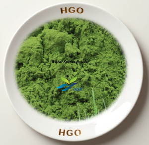 Suministro directo de fábrica de HGO polvo de brotes de trigo natural puro (grado alimenticio) Especificación polvo de hierbas (polvo de frutas o verduras) - Product Image 1
