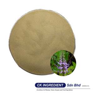 Top Sale Misai Kucing Orthosiphon Aristatus Extract Powder Premium Quality Halal OEM B2B <b>Best</b> Supplier Guarantee Kidney Health - Product Image 2
