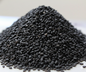 เมล็ดงาดำเปลือกดำบริสุทธิ์ 100% เกรด A อาหารเพื่อสุขภาพแบบดิบ ขายส่งจำนวนมาก คุณภาพส่งออกจากอินเดียสำหรับผู้ซื้อ - Product Image 2