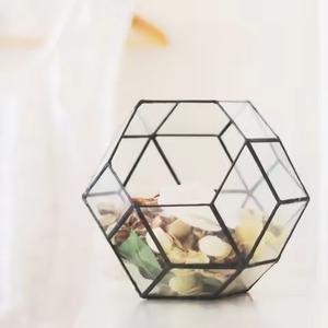 Terrarium en verre moderne de luxe artistique, pot de fleurs en métal, vase de table, support décoratif pour plantes d'intérieur, décoration élégante pour la maison, Diwali - Product Image 3