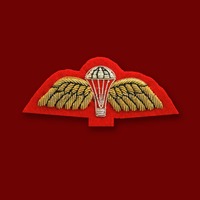Badges brodés à la main personnalisés en fils métalliques et perles, éco-responsables, en laine, pour blazer, à coudre