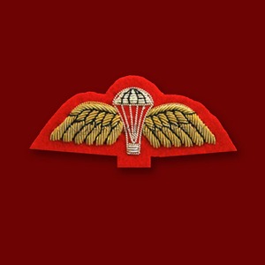 Badges brodés sur mesure faits main traditionnels en fil métallique, éco-responsables, en laine, pour blazer, avec fil de soie, à coudre ou à fixer par aimant - Product Image 2