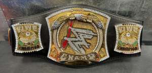 Cinturón de Campeonato de la WWE, Chapado en Oro, Equipo de Lucha Libre - Product Image 3