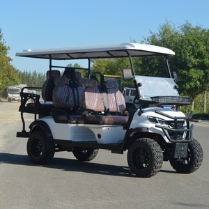 Vehículo Eléctrico Utilitario E6 Auténtico, Carro de Golf Premium con Velocidad de 30 km/h y Autonomía de 30 km - Product Image 1