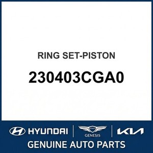 Pistones y Anillos Nuevos G80 230403CGA0 - Product Image 1