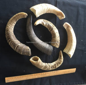 Cuerno resistente para masticar perros, perfecto para masticar durante mucho tiempo, promueve la salud dental y proporciona satisfacción al masticar - Product Image 4