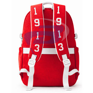 Delta |   Sigma |   Sac à dos pour ordinateur portable Theta DST Sorority, sac à dos élégant pour l'école et les voyages - Product Image 2