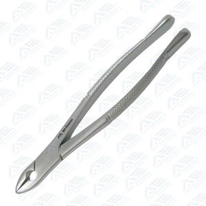 Fórceps de extracción para equipos dentales CE de acero inoxidable Premium de extracción de dientes de incisivo superior estándar anterior Superior - Product Image 2