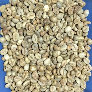 Vietnam Robusta Full Washed Coffee <b>Beans</b> Raw Green Bulk Supply Export Quality Supplier - Product Image 2