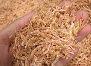 กุ้งแห้งทอดคุณภาพพรีเมียม ขายส่งจำนวนมากสำหรับส่งออก |   อาหารทะเลเกรดอาหาร |   ผู้ผลิต OEM แบรนด์ส่วนตัวจากเวียดนาม |   EXPAD - Product Image 4