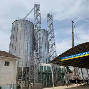 Grand Silo de Stockage d'Aliments et de Céréales pour Animaux en Acier Galvanisé, Assemblé par Boulons, Capacité 5-15000 Tonnes, Fabricant SolisFer - Product Image 4