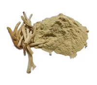 Poudre d'extrait de Shatavari en gros pour OEM, poudre pure de racine d'asperge racemosus pour le bien-être féminin, le soulagement du stress et la santé reproductive