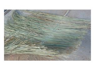 Tuiles de toit en feuille de cocotier naturel du Vietnam pour structures extérieures Tiki Bar Beach Huts Resort Party Decoration Toiture Material - Product Image 2