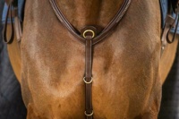 Équipement d'équitation en cuir véritable de haute qualité, durable, personnalisable, avec boucles en laiton et logo en relief, vente en gros