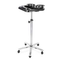 Support de rangement pratique pour plateaux de coloration de salon, en métal de qualité supérieure, pour un rangement soigné et une efficacité de travail accrue