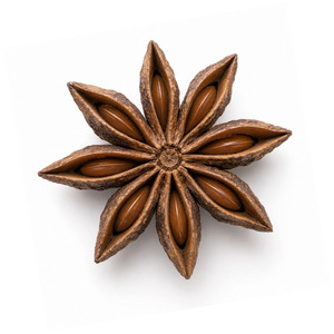 Best Selling Factory Price International Standard Vietnam Manufacturer Supply Star Anise Bulk Supply - Product Image 4