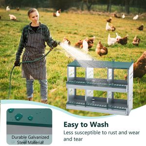 Green <b>Roll</b> Away Chicken Nesting <b>Box</b> with 6 Compartments for Laying Eggs - Product Image 4