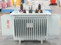 Transformateur à fil de cuivre DSJ DSJMT pour applications industrielles et commerciales, bonne performance d'isolation, 11KV triphasé 80 KVA 50/60Hz
