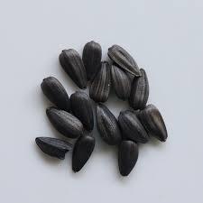 Graines de tournesol de qualité alimentaire CREKS pour la consommation humaine, en vrac, en provenance de Mongolie intérieure - Product Image 2