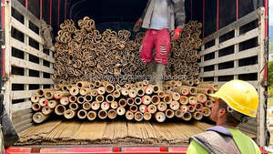 Poteau en rotin écologique en gros Vietnam matériau solide et durable pour la fabrication de meubles vannerie artisanat exportation - Product Image 3