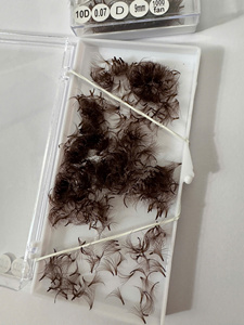 Wholesale Private Label <b>Individual</b> Eyelash Extensions Dark Brown Natural Soft Silk 0.05mm 0.07mm New Arrival Custom Design - Product Image 6