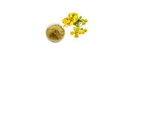 ผงสกัดแห้งธรรมชาติจากคาซูอันดี คาสมีร์ด (Cassia Occidentalis) วัตถุดิบสำหรับอาหาร เครื่องดื่ม และการใช้ในด้านโภชนาการ - Product Image 2