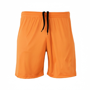 Shorts décontractés pour hommes à séchage rapide avec cordon de serrage, pour l'été, la détente, la gym, la course, l'entraînement sportif, le quotidien – Vêtements de sport en gros, fabricant OEM - Product Image 1