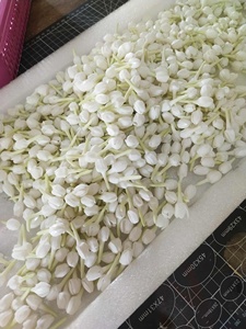 ดอกมะลิทำมือจากดินเหนียว |   ดินเหนียวมะลิไทยแบบสมจริง |   อุปกรณ์งานฝีมือตกแต่งดอกไม้ - Product Image 3
