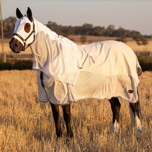Tapis de sol en mousse EVA pour exercices et gymnastique, tapis de protection personnalisé antidérapant et léger pour écuries de chevaux - Product Image 5