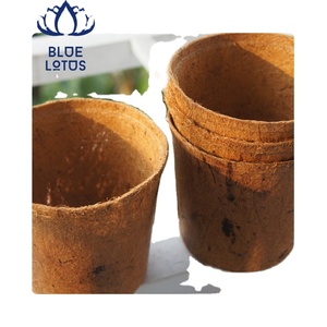 Maceta Biodegradable de Fibra de Coco Natural al por Mayor de Blue Lotus Vietnam 2026 - Product Image 1